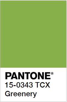Details about the Pantone Greenery