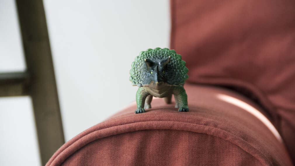 A cute Triceratops on top of the armrest of an Ektorp sofa with a custom sofa cover set in Shire Rust by Comfort Works
