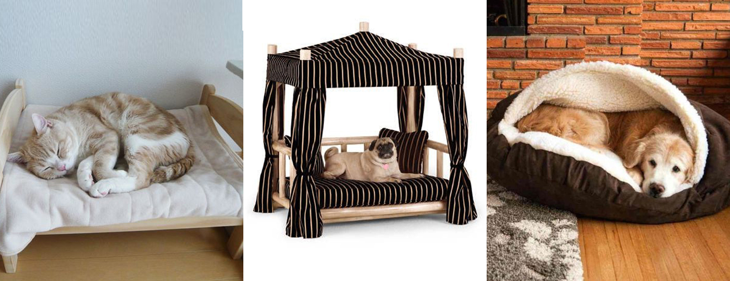 Sofás y Camas para Mascotas - ¿Cuál me más? Blog Comfort Works - Inspiración y decoración
