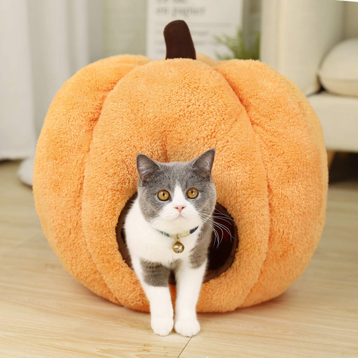 5 cat houses on Amazon that your cat will love | Comfort Works Blog & Sofa Resources
