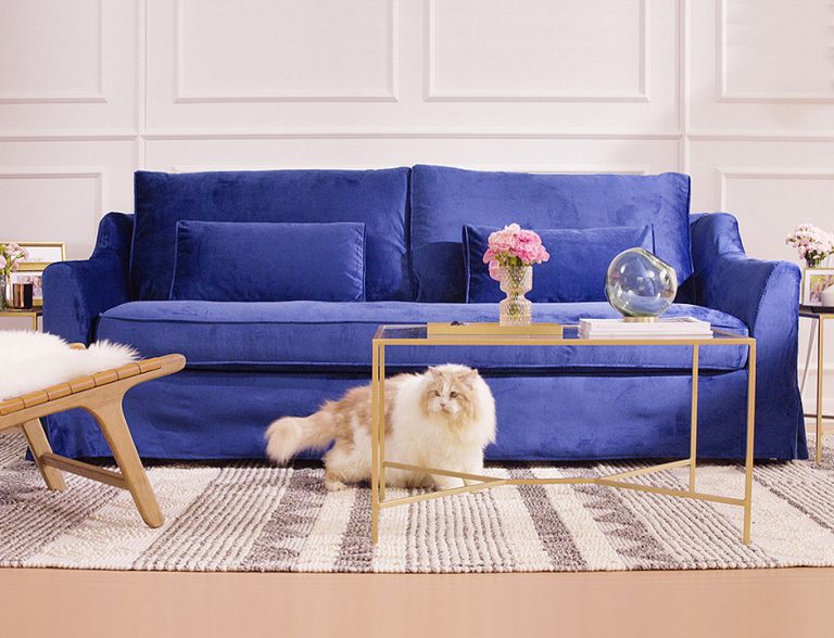 The best couch material for cats, dogs and everything in between