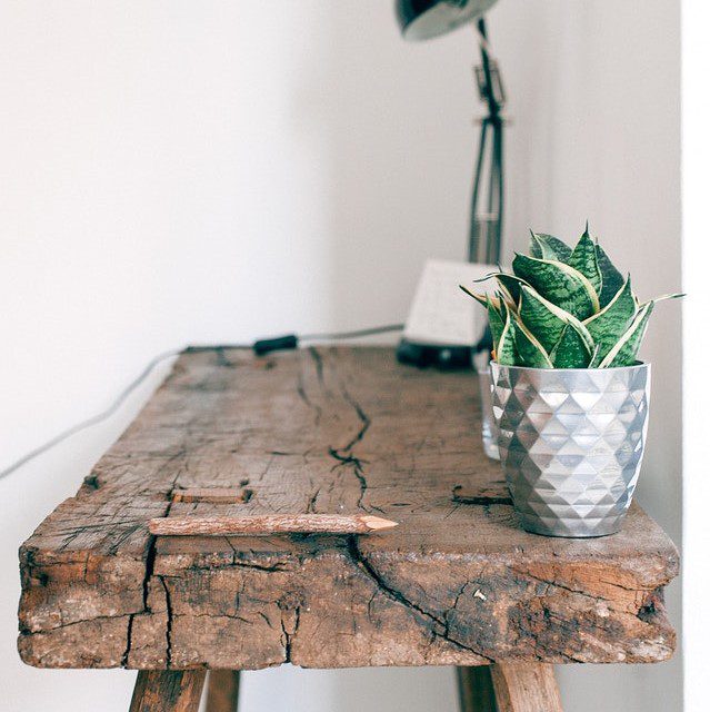 Holztisch mit einer Topfpflanze oben drauf