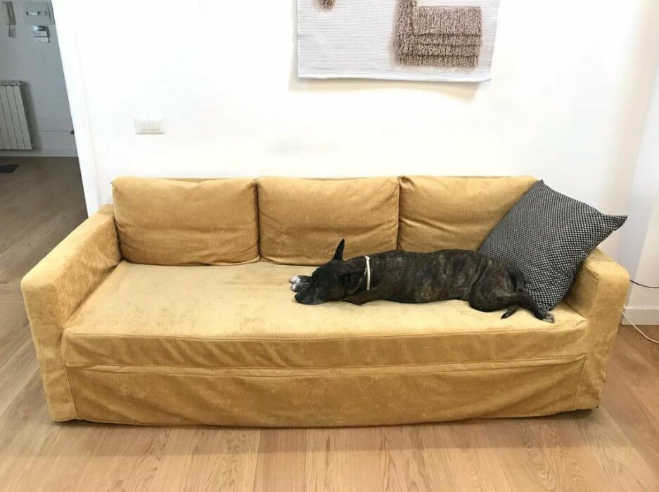 Ikea Friheten Review Ikea S Most Popular Sofa Bed Comfort Works